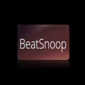 beatsnoop.com