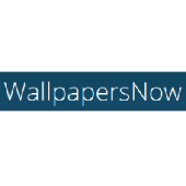 wallpapersnow.com